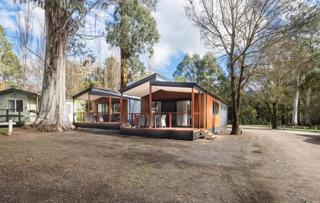 Marysville Holiday Park Bagian luar foto