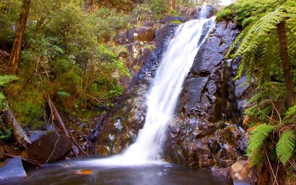 Marysville Holiday Park Bagian luar foto