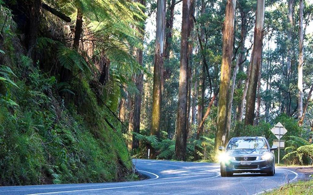 Marysville Holiday Park Bagian luar foto